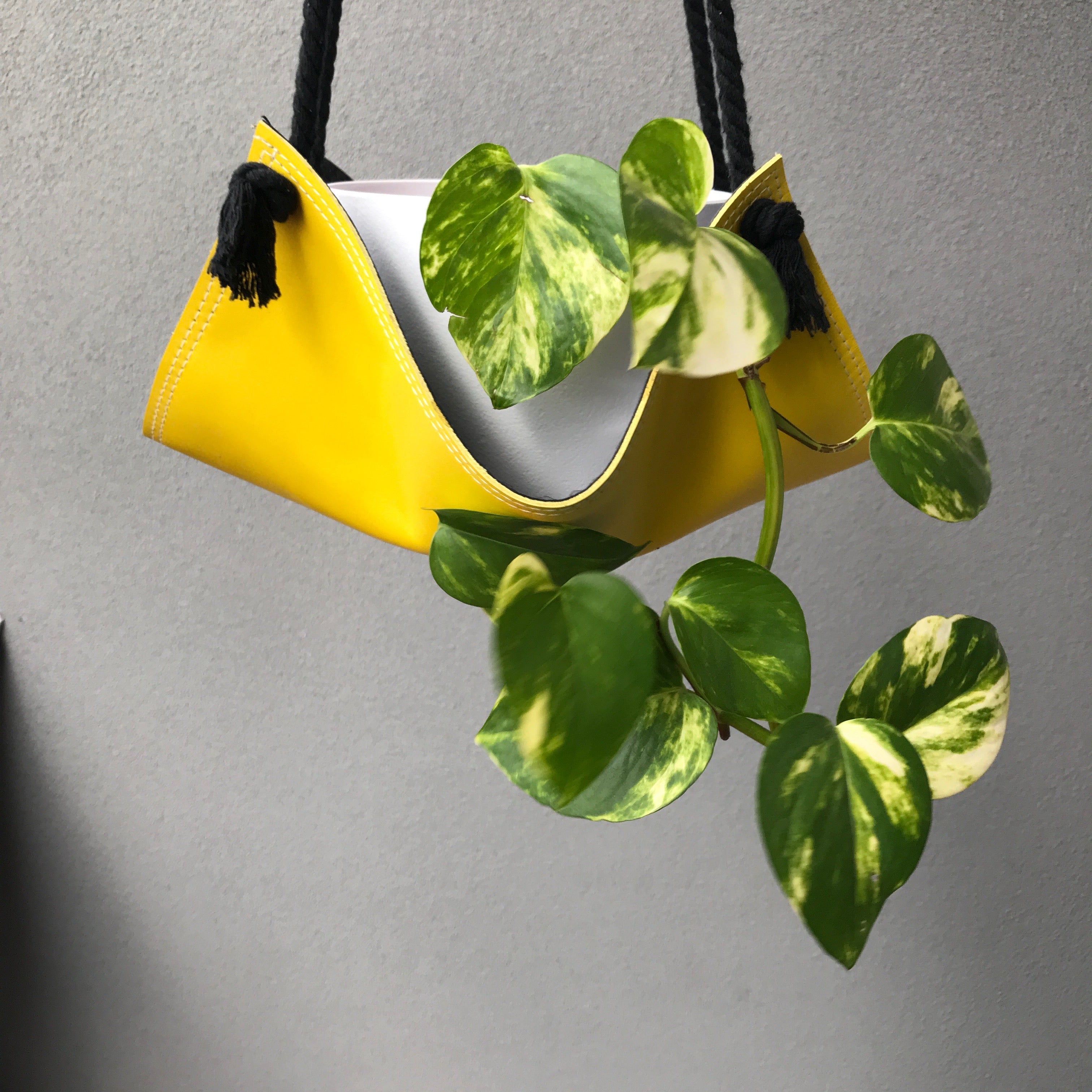 Let's hang plant hangers | Yellow-SMENA